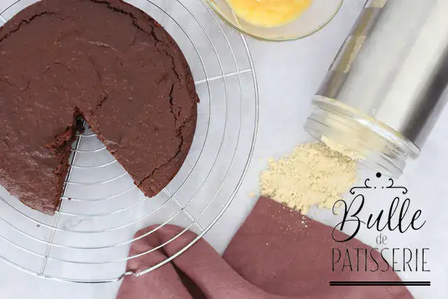 Gâteau au chocolat sans beurre et sans gluten
